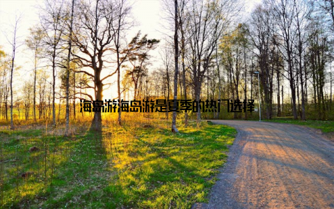 海岛游海岛游是夏季的热门选择