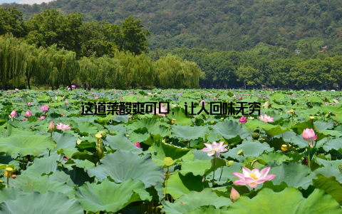 这道菜酸爽可口, 让人回味无穷