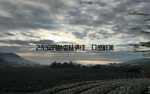 2东安鸡色香味俱佳, 口感鲜美