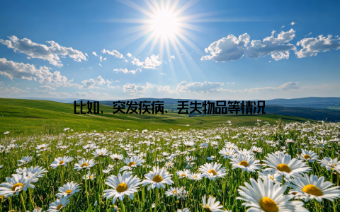 比如, 突发疾病、丢失物品等情况