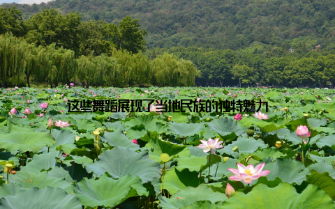 这些舞蹈展现了当地民族的独特魅力