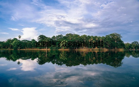 这里吸引了众多游客前来体验