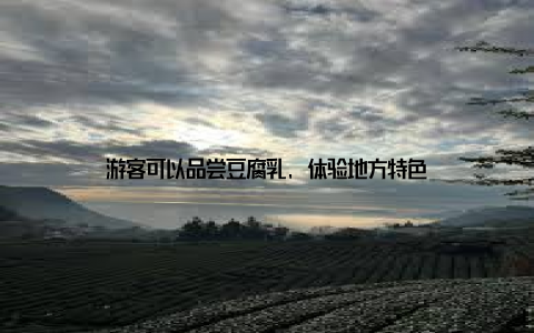 游客可以品尝豆腐乳, 体验地方特色