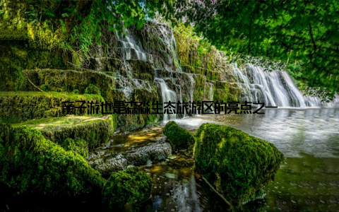 亲子游也是森淼生态旅游区的亮点之一