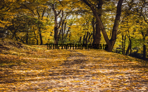 – 深圳改革开放的前沿阵地