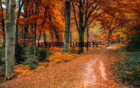 这里的景色, 让我陶醉不已