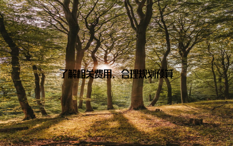 了解相关费用, 合理规划预算