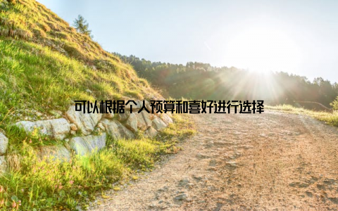 可以根据个人预算和喜好进行选择