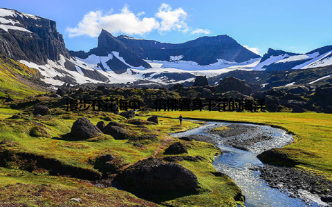 漫步在花海中, 仿佛置身于花的海洋