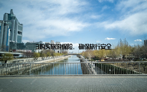 3购买旅游保险, 确保旅行安全