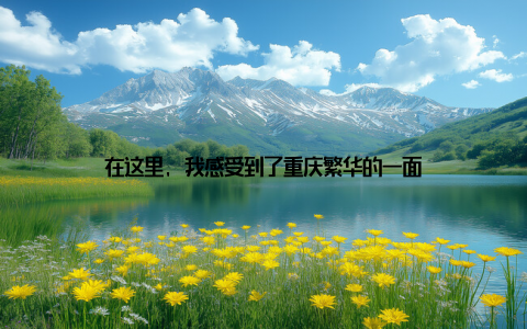 在这里, 我感受到了重庆繁华的一面