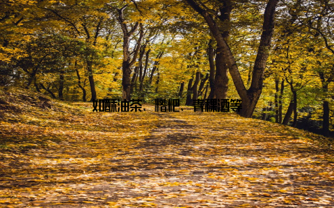 如酥油茶、糌粑、青稞酒等