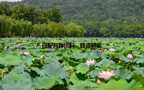 搭配各种调料, 味道鲜美