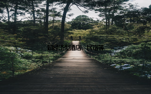 如经济型酒店、民宿等