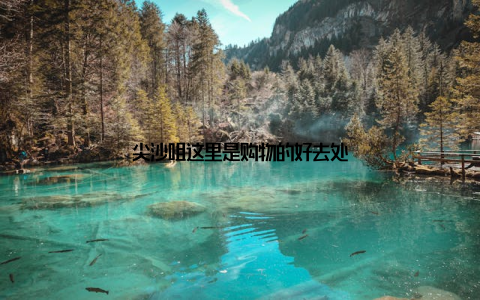 尖沙咀这里是购物的好去处